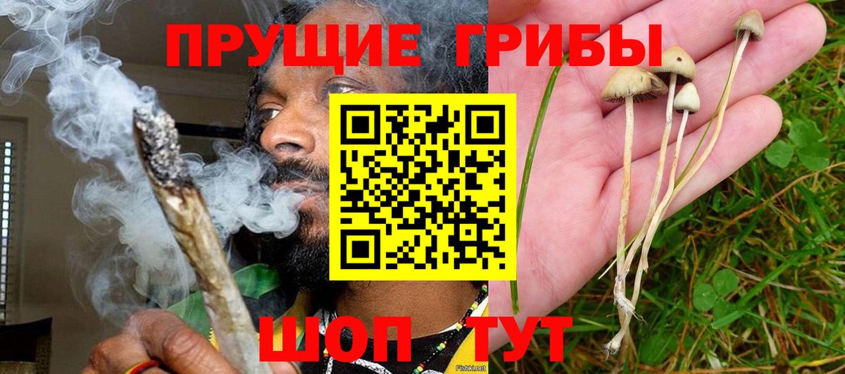 Серпухов  Псилоцибиновые грибы GOLDEN TEACHER  Галлюциногенные грибы Magic Shrooms  Вход с VPN 